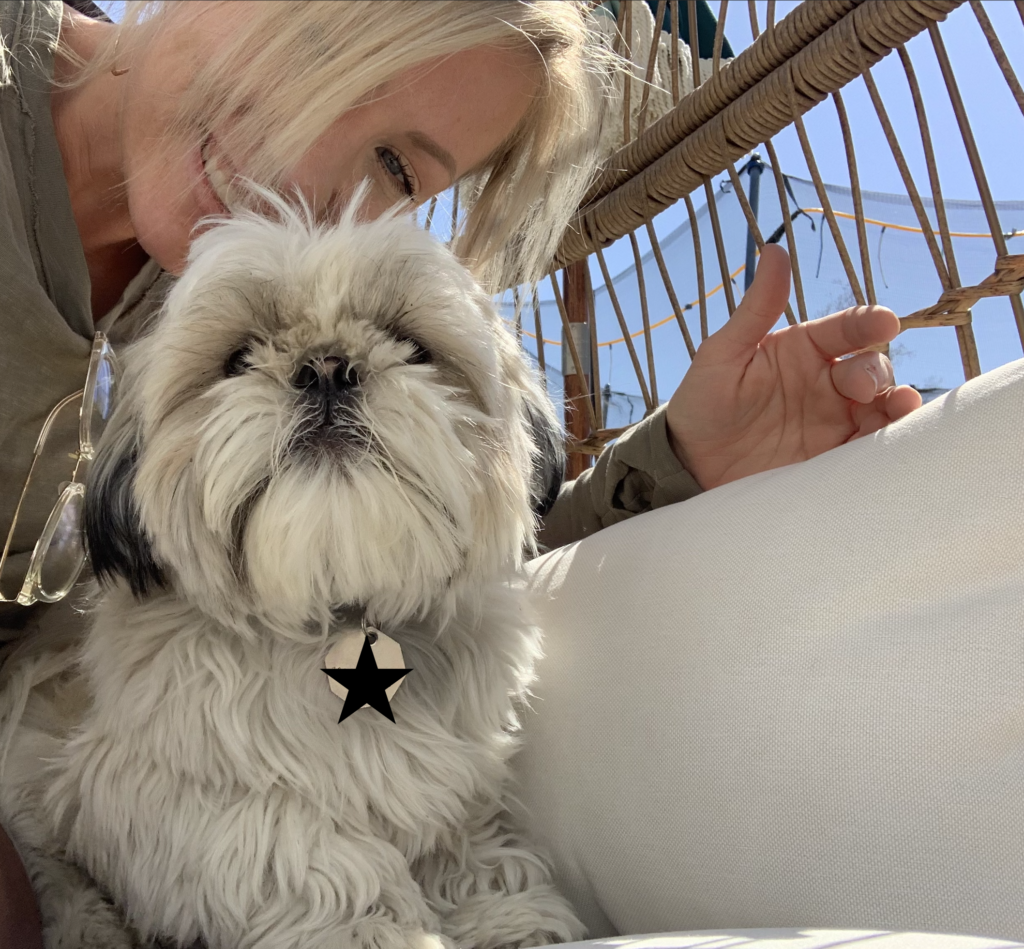 On Second Thought Founder, kim, with her shih tzy dog Axl in a chair